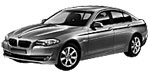 BMW F10 P1E2A Fault Code